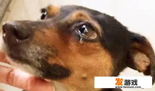 你知道哪些轰动一时的悬案？_小小热 主机游戏
