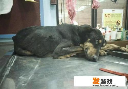 你知道哪些轰动一时的悬案？_小小热 主机游戏