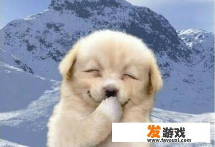 无聊的时候干什么？玩什么游戏？_网页版五子棋游戏双人双排