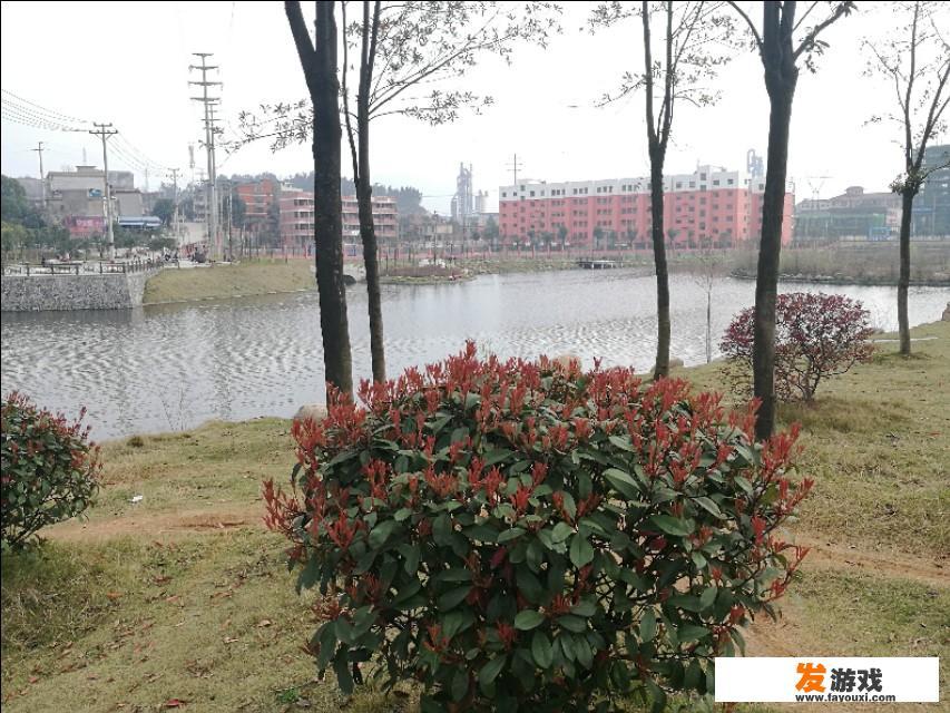 有哪些两个人在家可以玩的好游戏值得推荐？_朋友玩的小游戏