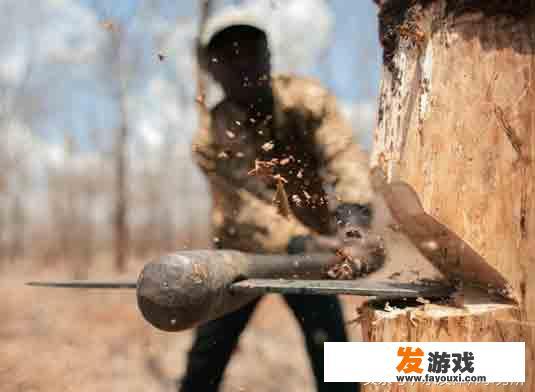 自家种树，可以随意砍伐吗？_种植小游戏惩罚
