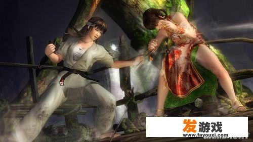 两个女的打架的是什么3d游戏？_打架小游戏女生