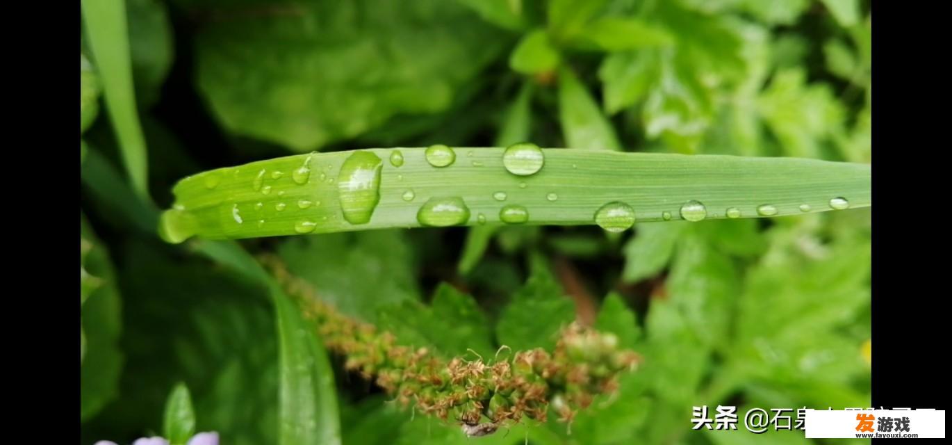 有什么睡前可以听的故事？_调酒师小游戏惩罚