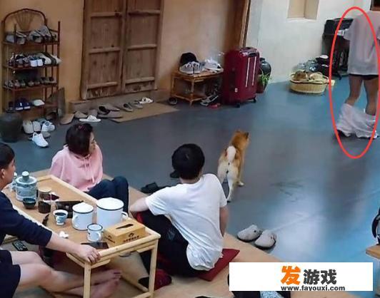 无树的全部小说