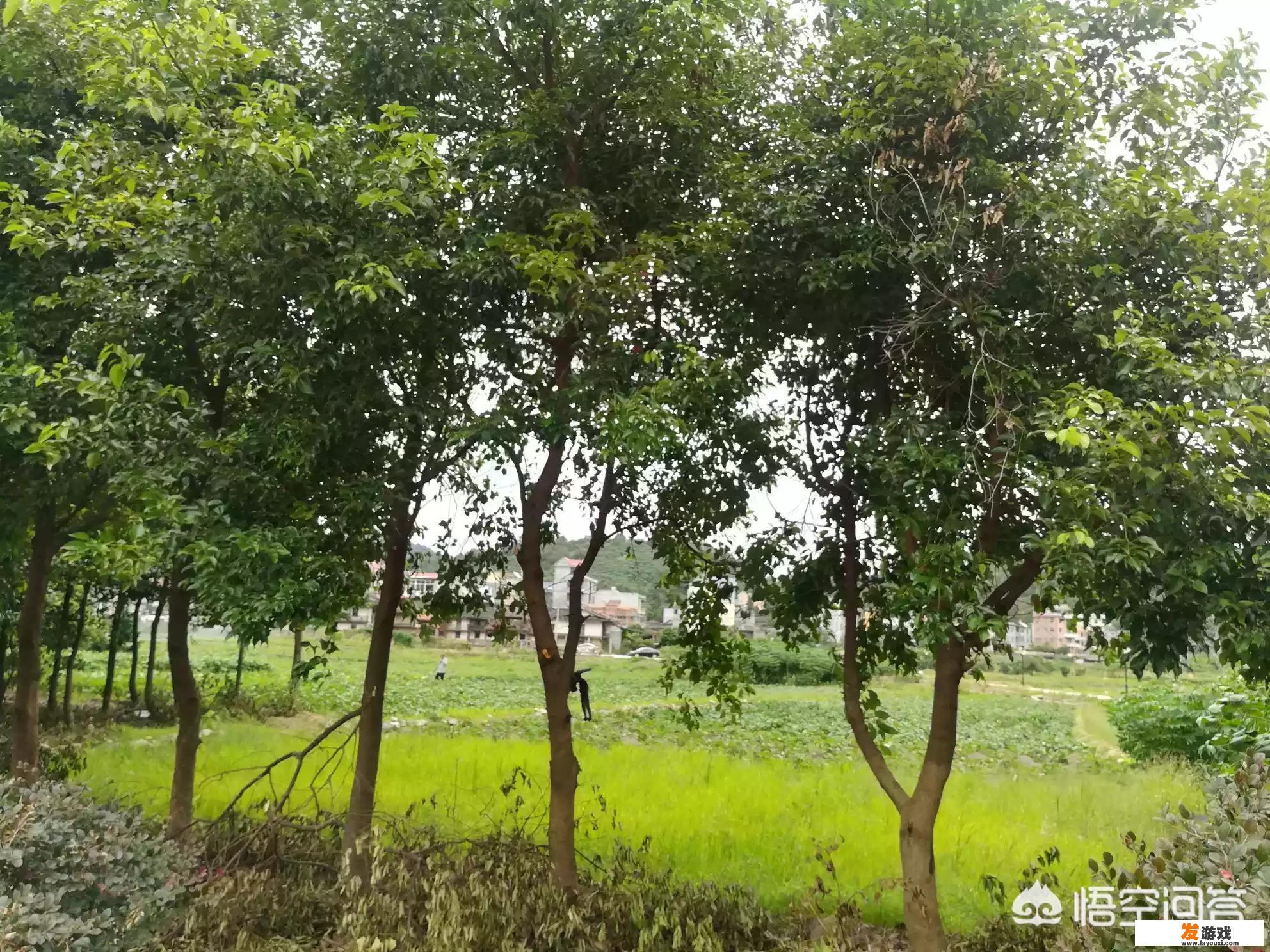 乡村旅游如何盘活闲置资源