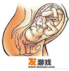 谁知道一些《海贼王》里地名、人名的日文