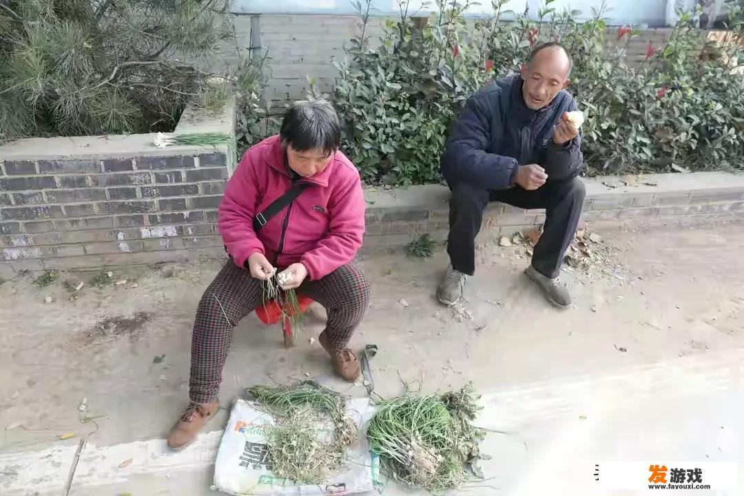 什么是全景式教学