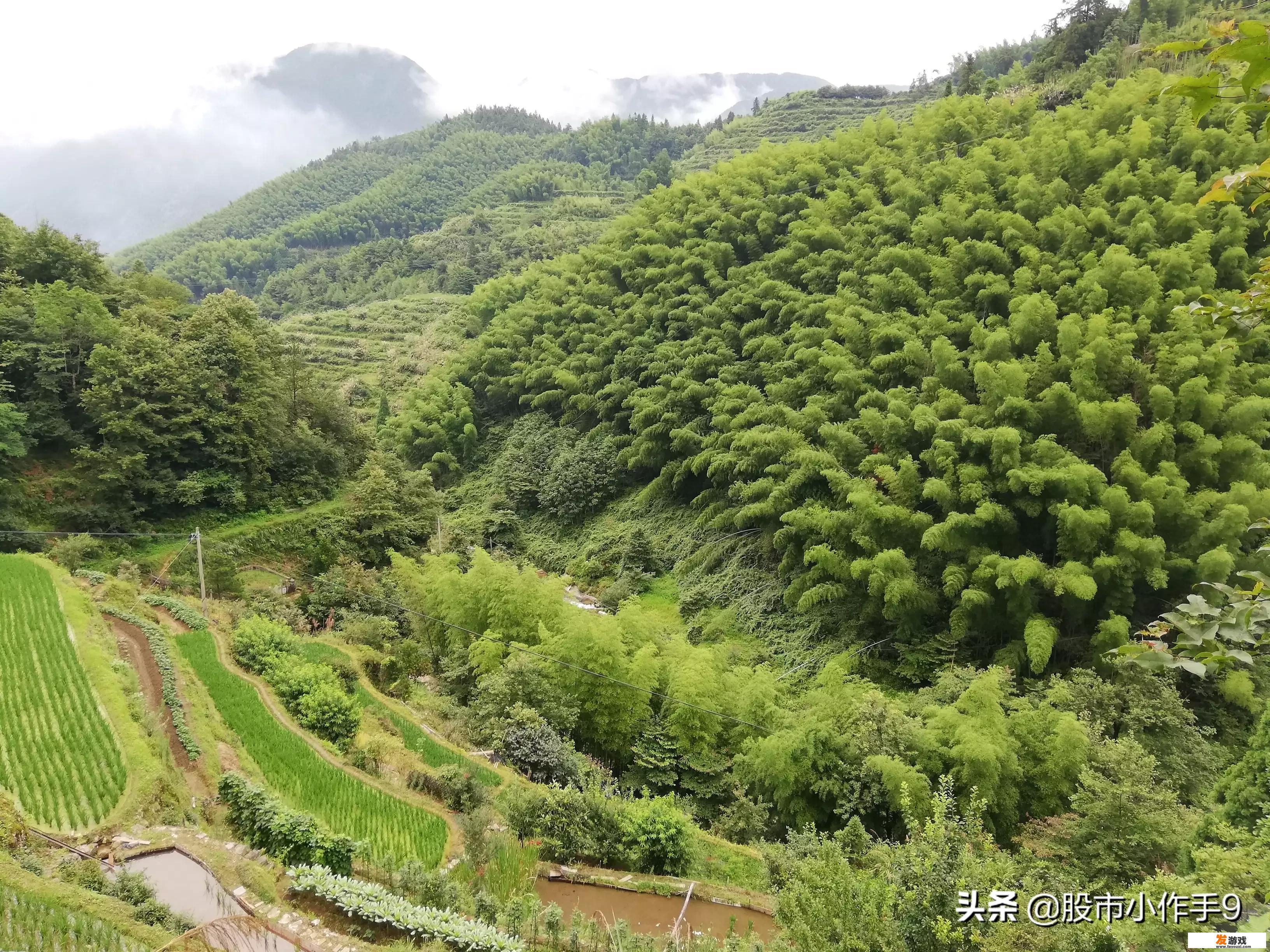 想玩股票下载什么软件