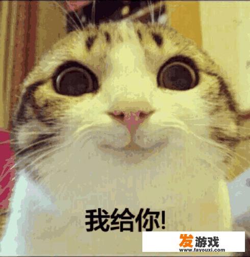 经典养成类手机游戏回顾