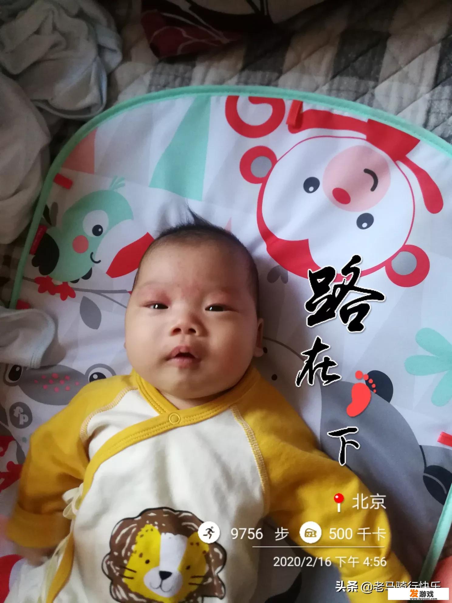 适合景区的娱乐项目是游戏气炮吗