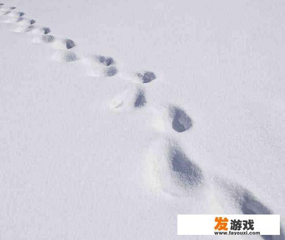 绝地求生雪地脚印会暴露行踪，有什么小技巧可以“踏雪无痕”呢
