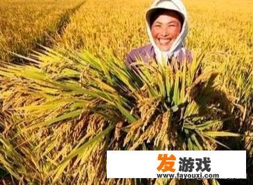 如果发生战争，将对农产品价格有何影响