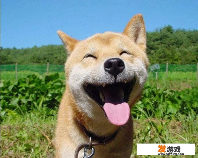 请问这张图片有没有相似的
