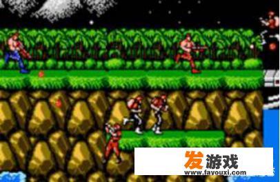 绿萝和柚子哪个好