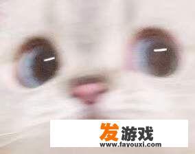 游戏情侣一般可以维持多久
