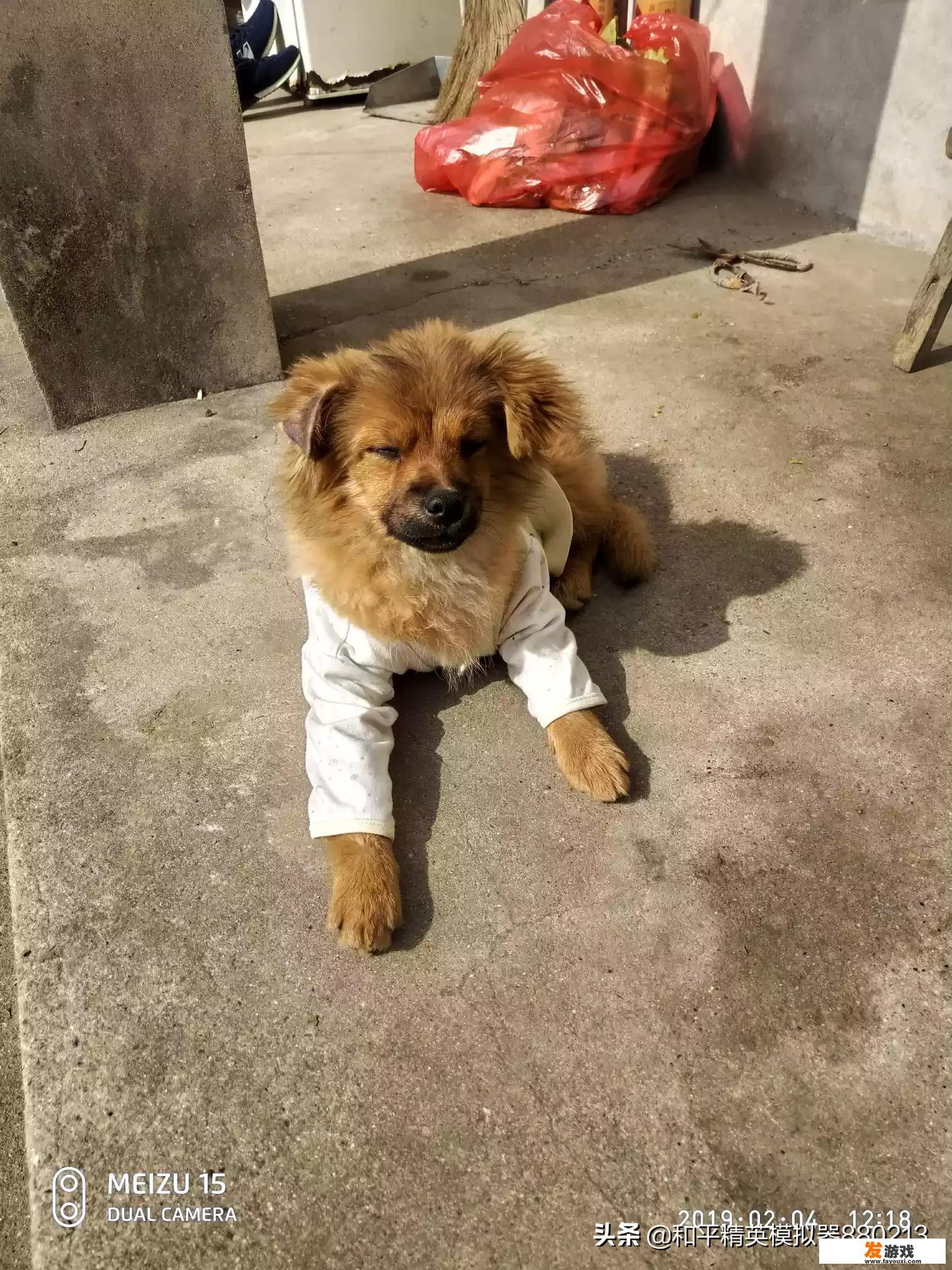 我在中国下载的手游，出国了还能玩吗