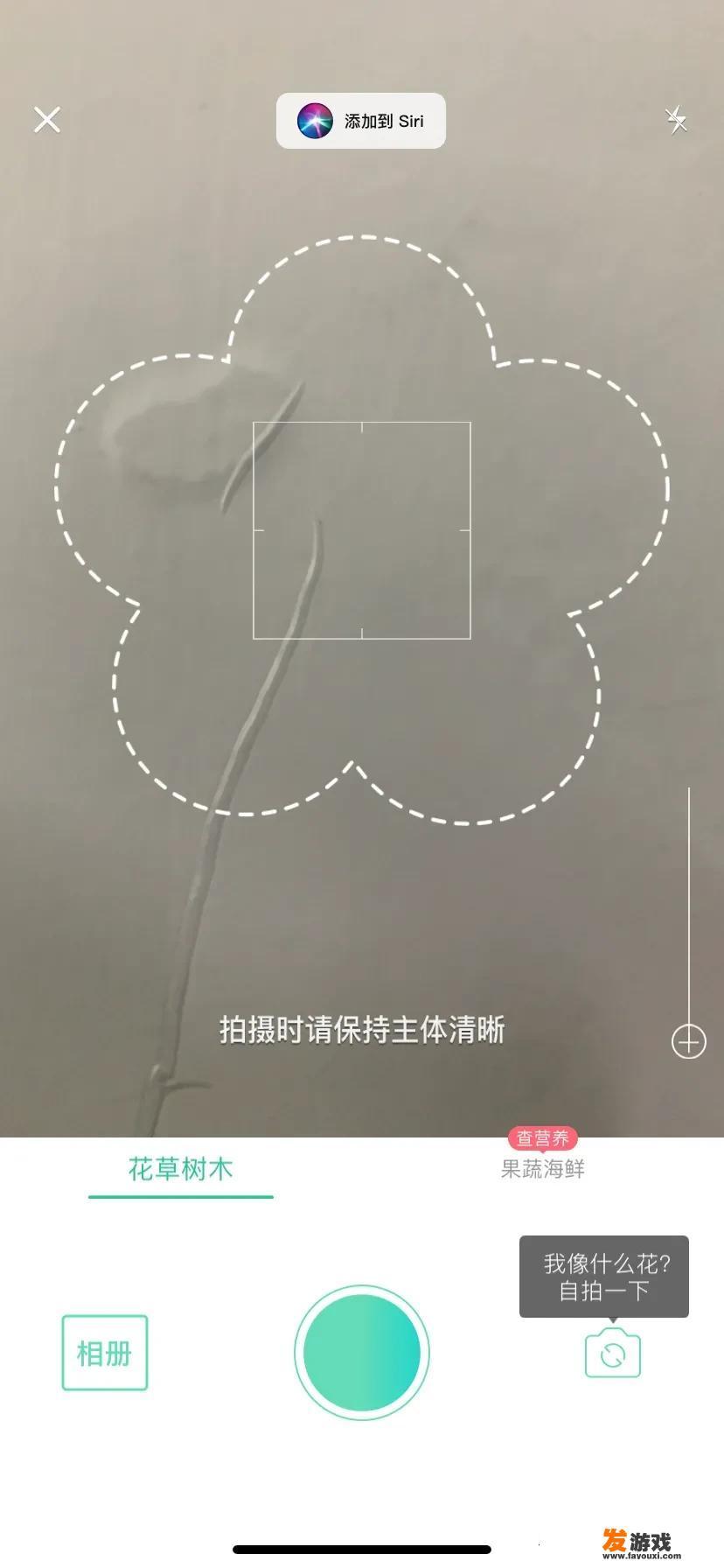 用什么软件可以查各种树木花草