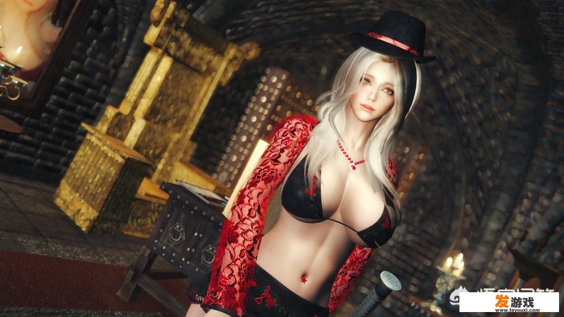 你们steam游戏库里本子最多的游戏是哪个