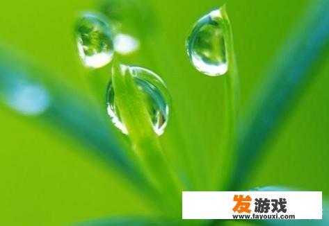 如何辨别君子和小人