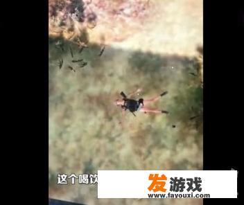 秘书养成记是成人手游吗