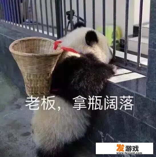 魔兽世界稀有小宠物有哪些？怎样获得