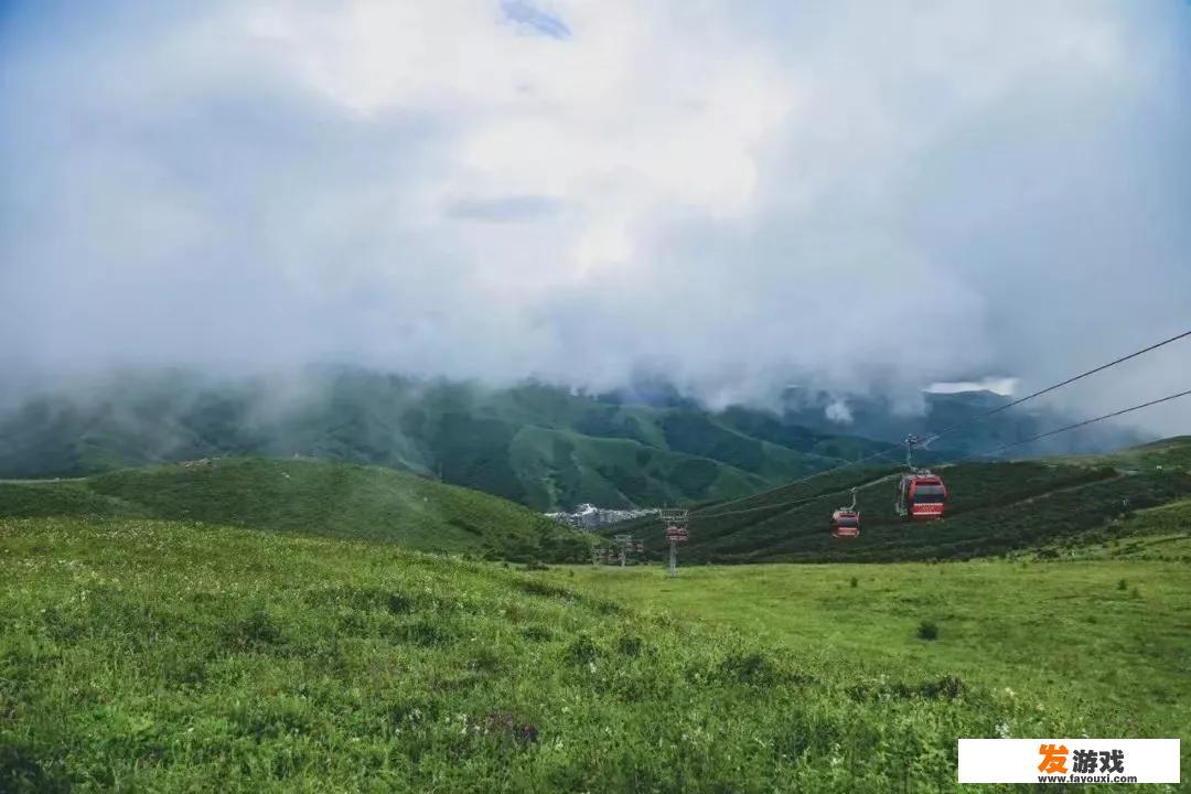 怎么给棉花娃娃洗澡