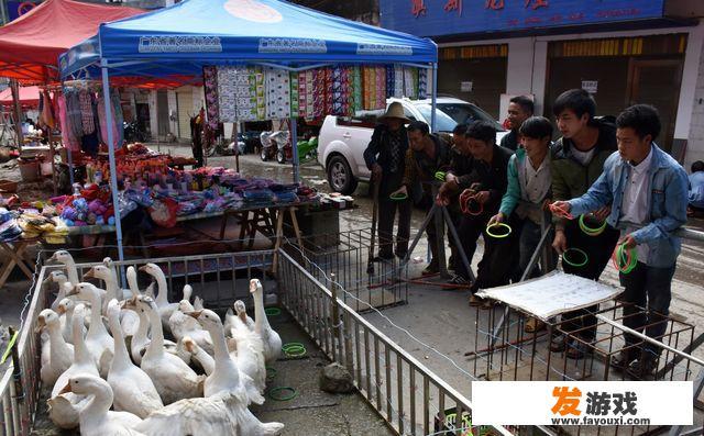 山东滨州农村集市上出现套鹅游戏，套住就给奖励，你觉得套鹅这游戏靠谱吗