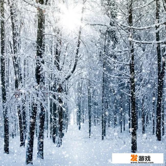 下雪啦！四川什邡下今冬第一场雪，雪中小木屋美得像童话, 你怎么看