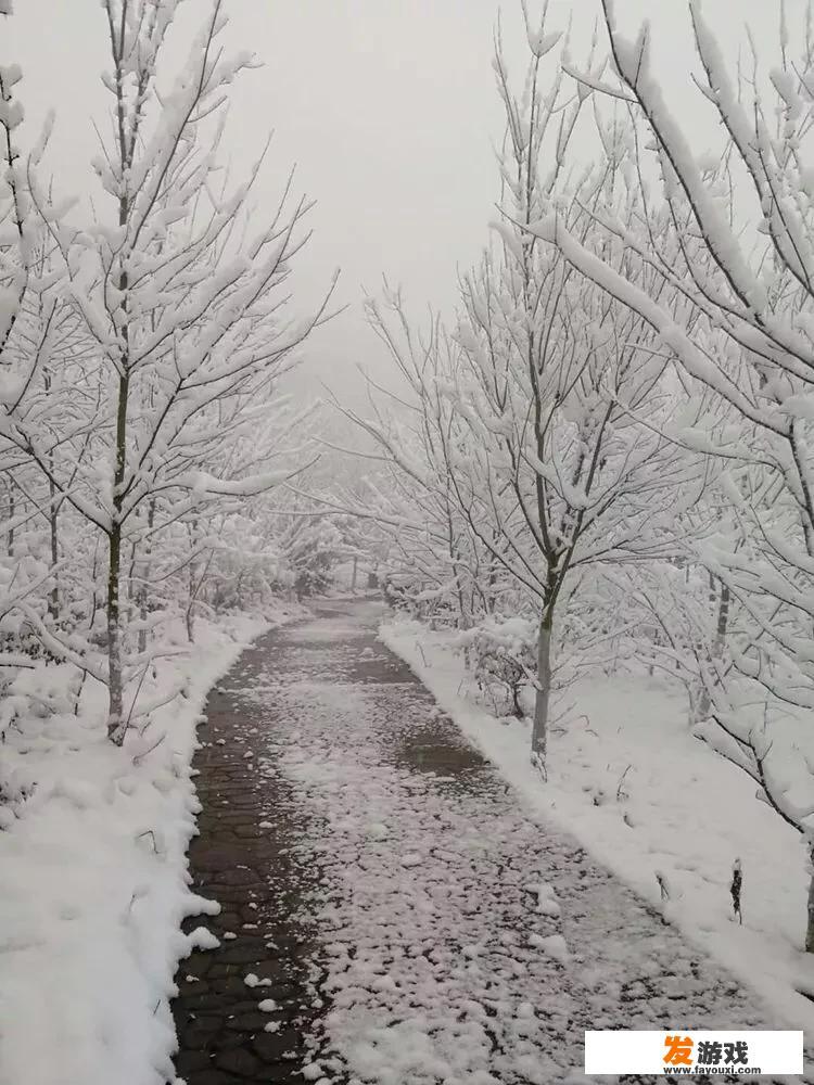 下雪啦！四川什邡下今冬第一场雪，雪中小木屋美得像童话, 你怎么看