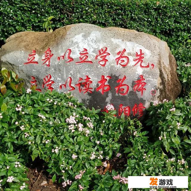宝宝两岁，喜欢玩手机游戏，看动画片，我该如何教育他