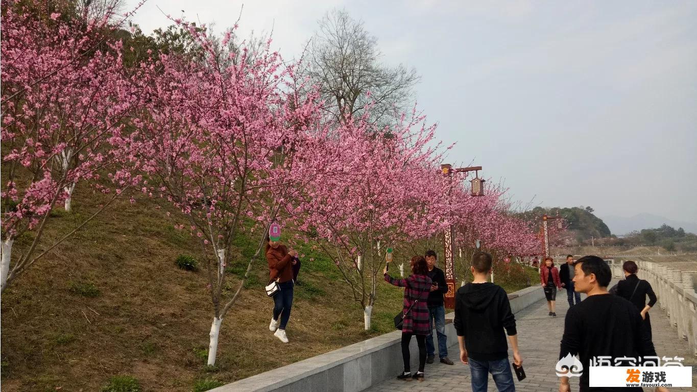 和女孩儿聊天时，有什么样的聊天套路可以用