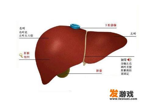 失眠最好的治疗方法