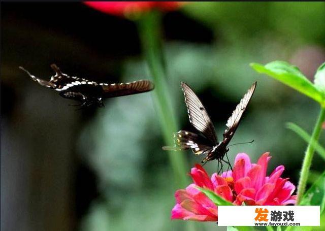 分享一首你喜欢的纯音乐吧！音乐里有什么故事吗