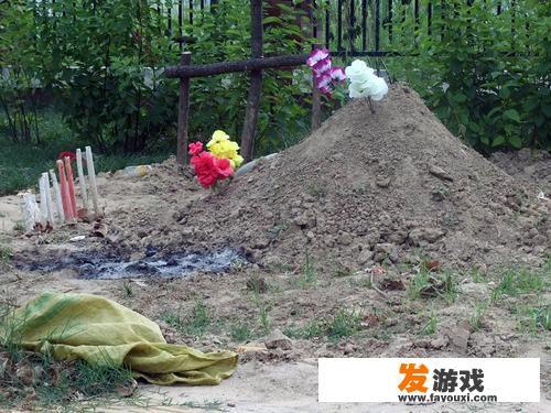 有哪些冷门而有韵味的句子