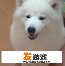 fgo所长序章怎么死