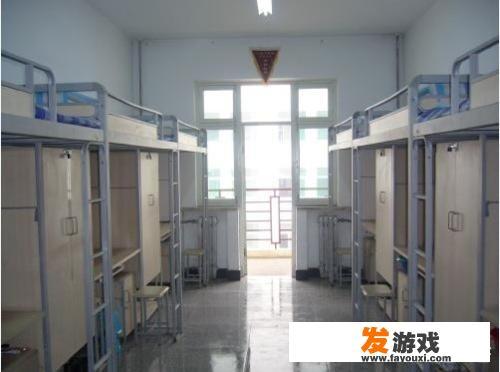 蛋仔尤克里里背饰怎么获取