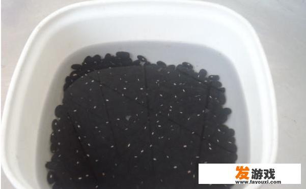 自制黑豆豉的做法大全