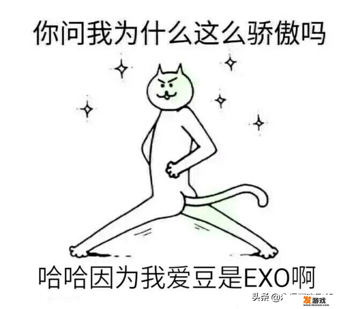 EXO未来的路是怎样评定的