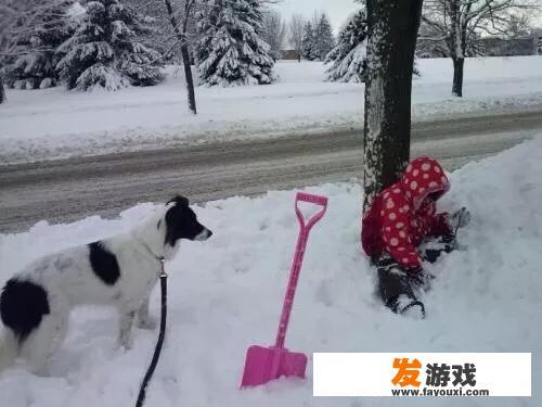 在北方下雪天，小孩子喜欢玩些什么游戏