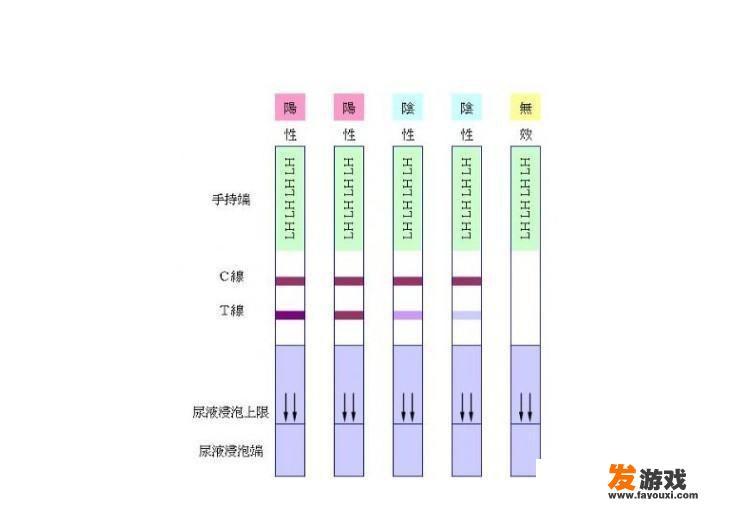怀孕期间能吃炸鸡吗