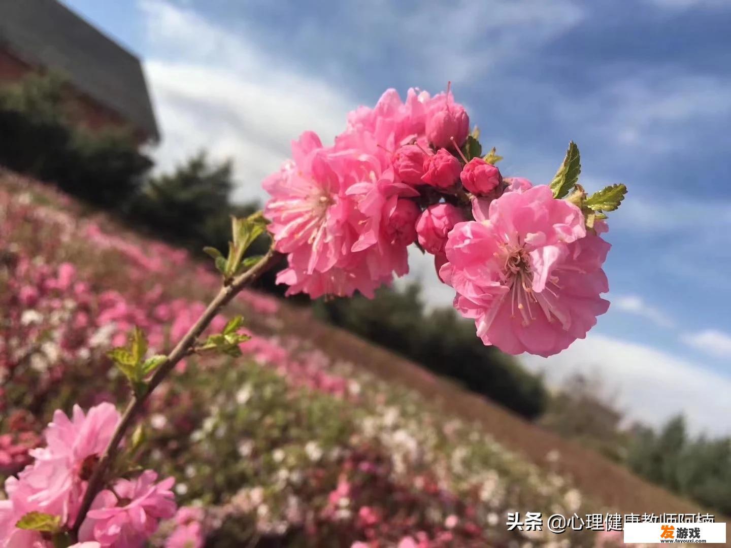 中学生厌学，沉迷游戏家长管不了，有什么好的解决办法