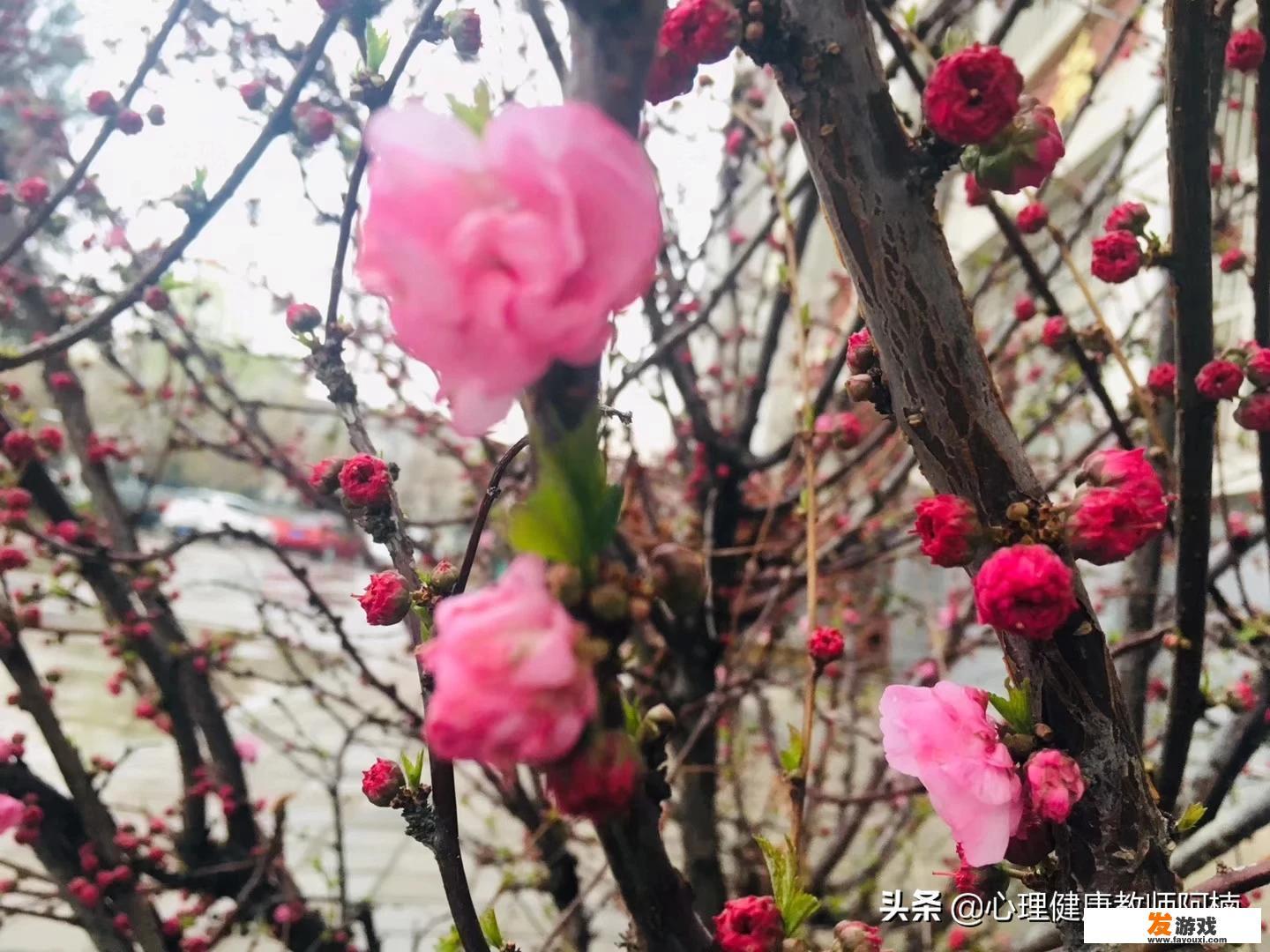 中学生厌学，沉迷游戏家长管不了，有什么好的解决办法