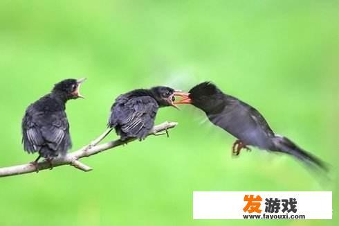父母砸毁自己花钱买的游戏机，应该赔偿吗