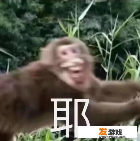 为什么有的体育游戏要“折磨”玩家呢