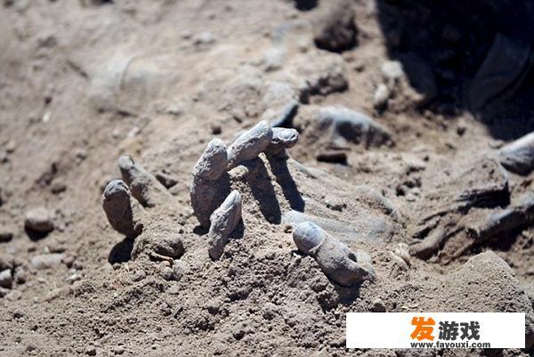 诸葛亮的墓在哪里