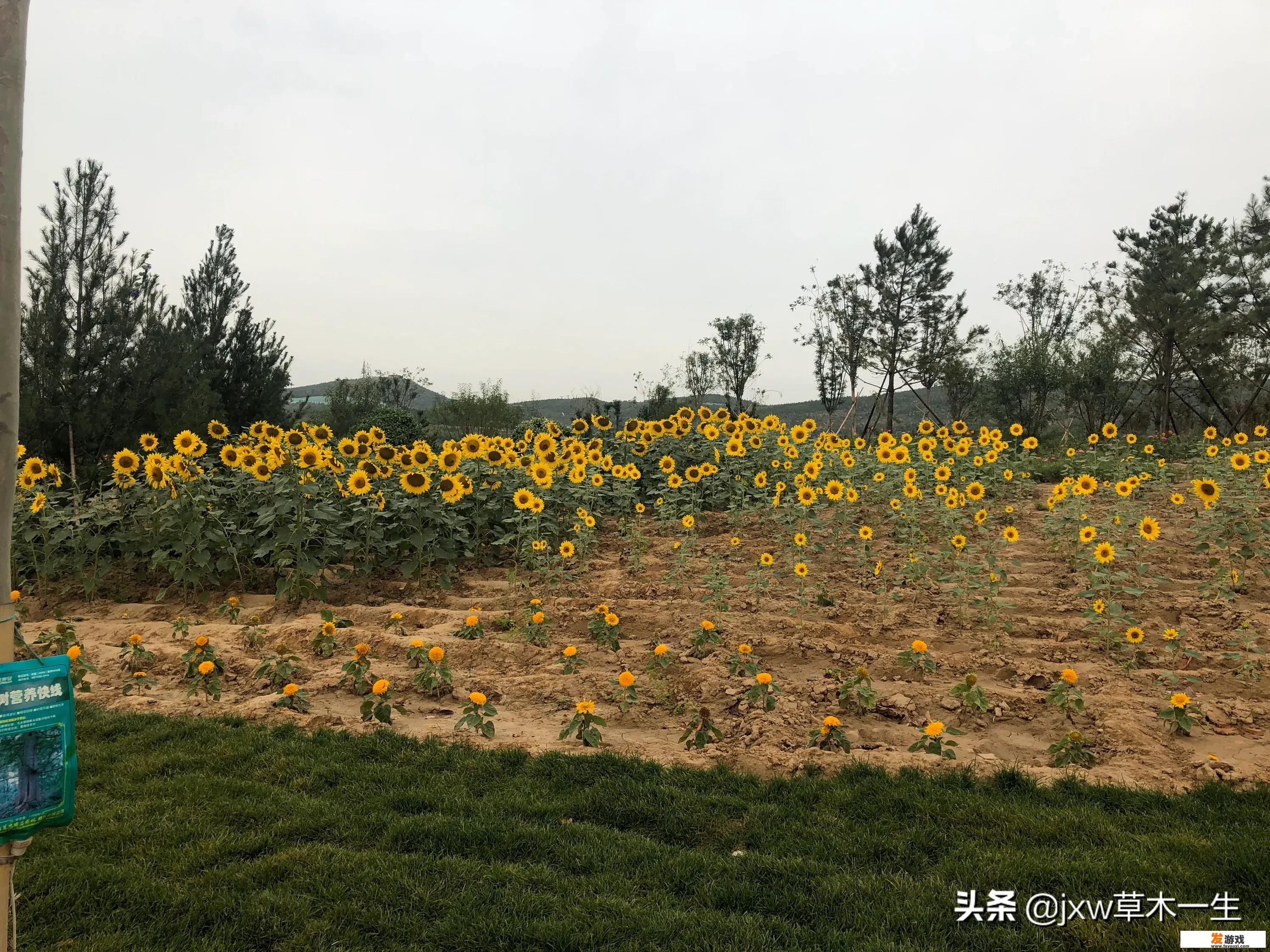 《霸业永恒》: 探索与挑战
