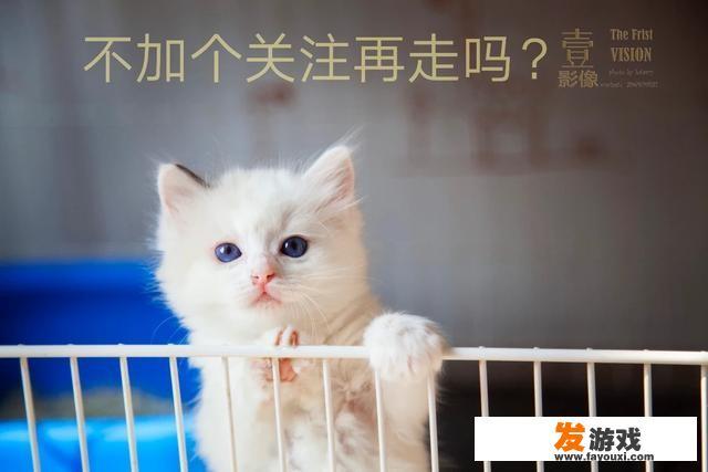 人死后脸色是青紫色是怎么回事