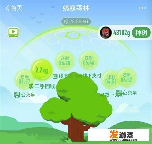 为什么有时候蚂蚁森林线下支付获得的能量只有5g，而其它环保类的就很多