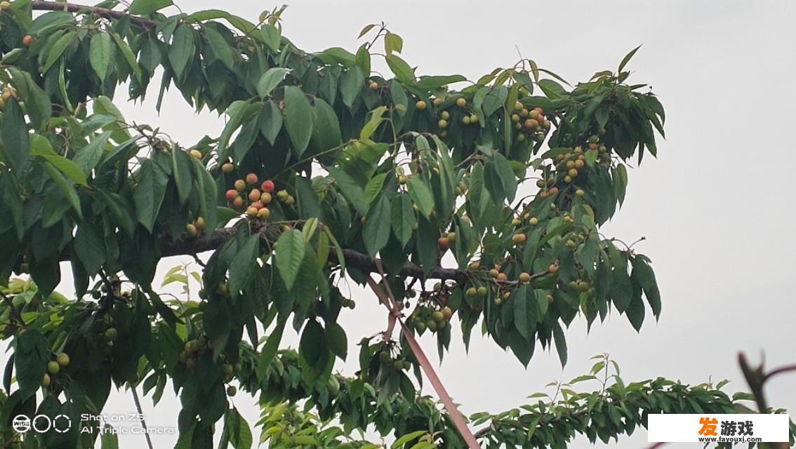 家里四口，每天交商业保险费四万左右，都说保险是个坑，退不退