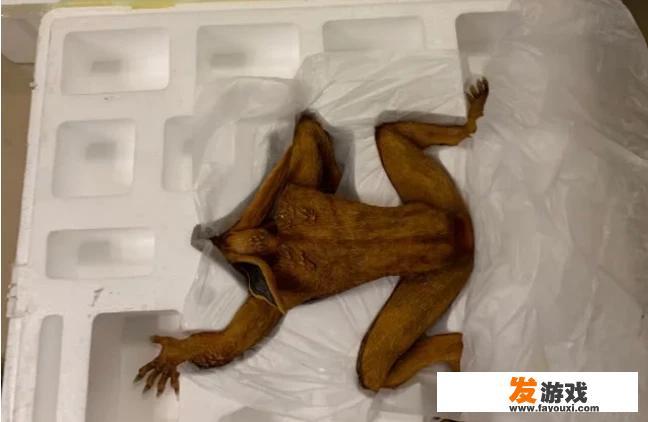 《火影忍者》主题的限量版动漫手办，半成品与成品的差距有多大？体现在哪些方面